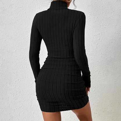 Elegant Long Sleeve Dress