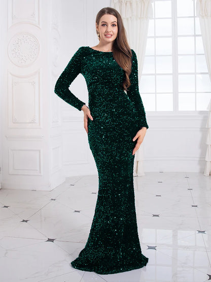 Sequin Sparkly Elegant Dress